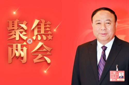 全國人大代表李寅2025年建議之四--盡快解決農林生物質發電可再生能源電價附加補助拖欠問題，化解行業經營風險的建議